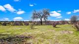 LOT 43 River Downs Way - Photo 5