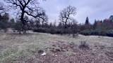  15.77 Acres, Dittman Road - Photo 10