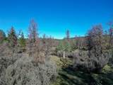  15.77 Acres, Dittman Road - Photo 14