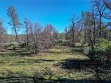  15.77 Acres, Dittman Road - Photo 15