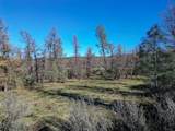  15.77 Acres, Dittman Road - Photo 16
