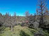  15.77 Acres, Dittman Road - Photo 18