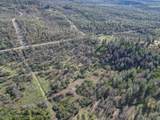  15.77 Acres, Dittman Road - Photo 21