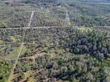  15.77 Acres, Dittman Road - Photo 22