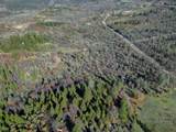  15.77 Acres, Dittman Road - Photo 23