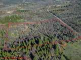  15.77 Acres, Dittman Road - Photo 24