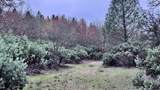  15.77 Acres, Dittman Road - Photo 7