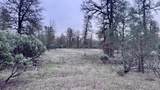  15.77 Acres, Dittman Road - Photo 8