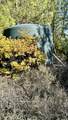  20 Acres Jones Valley - Photo 10