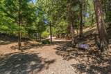 891 Salt Flat Road - Photo 31