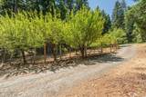 891 Salt Flat Road - Photo 35