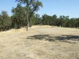  Oak Run Road - Photo 10