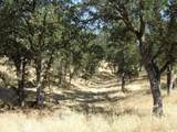  Oak Run Road - Photo 12