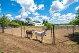 22162 Silver Spur Road - Photo 60