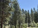 Lot 13 Haul Road - Photo 6