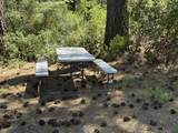 Lot 13 Haul Road - Photo 7