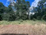 0000 Manton School Road - Photo 13