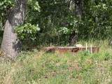 0000 Manton School Road - Photo 3