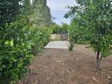 1615 Oak Street - Photo 48