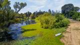 21039 Joanna Way - Photo 34