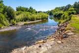 22712 Rovern Ranch Road - Photo 2