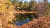 5750 Woodcutters Way - Photo 3