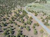 1167 Grande Road - Photo 13