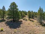 1167 Grande Road - Photo 4