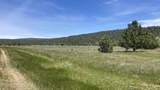 NSA Loomis Cabin Road - Photo 1