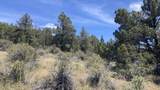 NSA Loomis Cabin Road - Photo 11