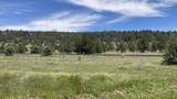 NSA Loomis Cabin Road - Photo 2