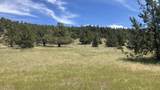 NSA Loomis Cabin Road - Photo 4
