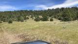 NSA Loomis Cabin Road - Photo 6