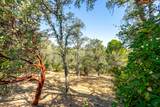866 Pioneer Drive - Photo 15