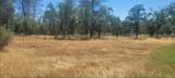  Cherith Brook Drive - Photo 11