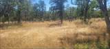  Cherith Brook Drive - Photo 12