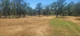  Cherith Brook Drive - Photo 15