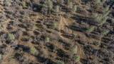  Cherith Brook Drive - Photo 20