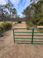  Cherith Brook Drive - Photo 3
