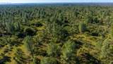  Cherith Brook Drive - Photo 4