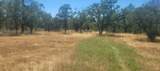  Cherith Brook Drive - Photo 7