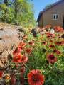 30077 California 299 - Photo 65