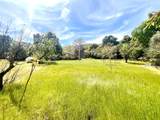 8987 Soda Bay Road - Photo 46