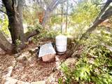 8987 Soda Bay Road - Photo 49