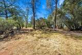25350 Buffalo Drive - Photo 20