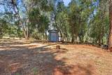 25350 Buffalo Drive - Photo 22