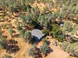 25350 Buffalo Drive - Photo 24