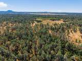 25350 Buffalo Drive - Photo 36