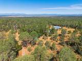 25350 Buffalo Drive - Photo 40