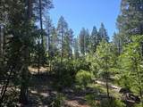 Lot 5 Waterleaf Lane - Photo 3